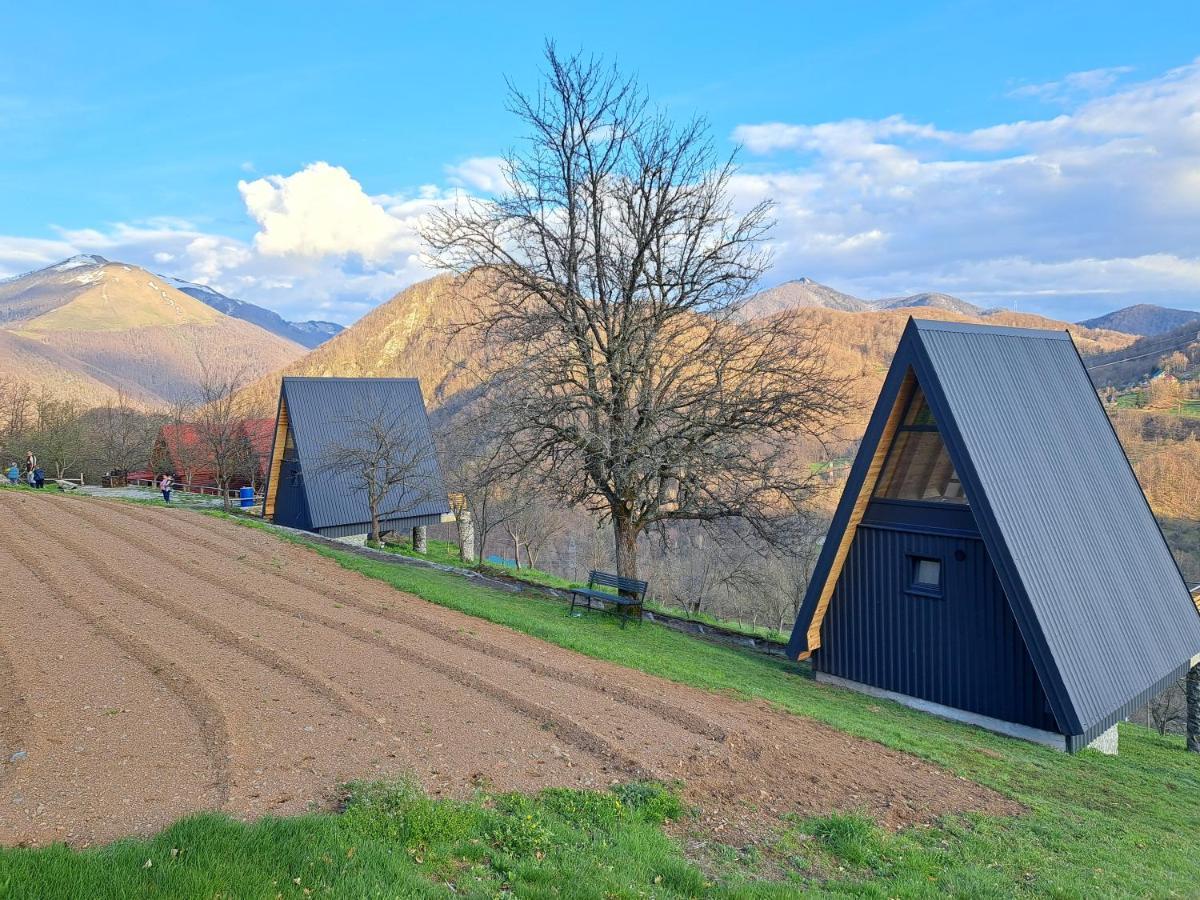 Fern Farm Tiny Home Мойковац Екстер'єр фото