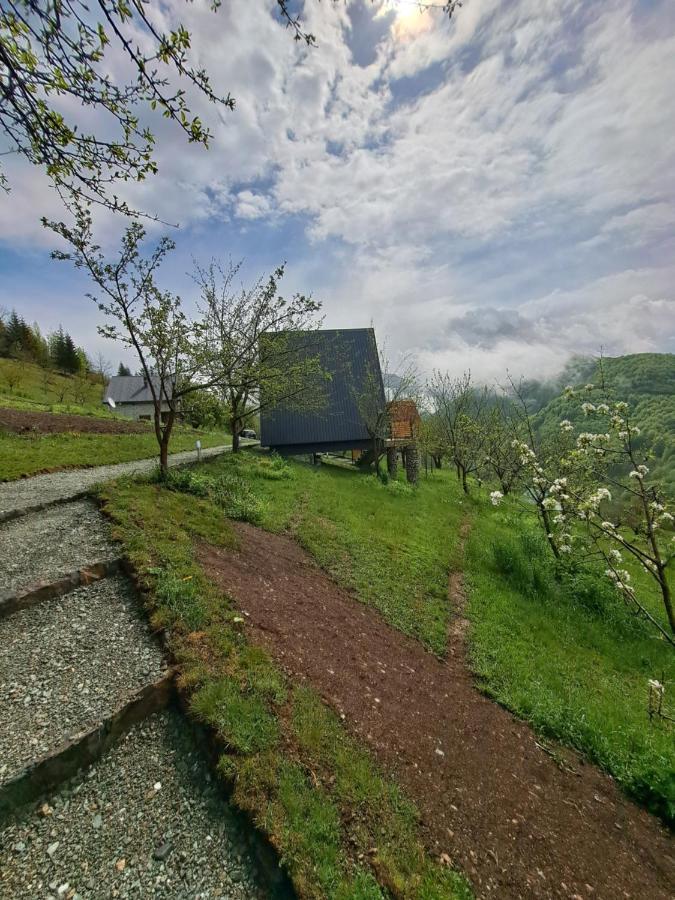 Fern Farm Tiny Home Мойковац Екстер'єр фото