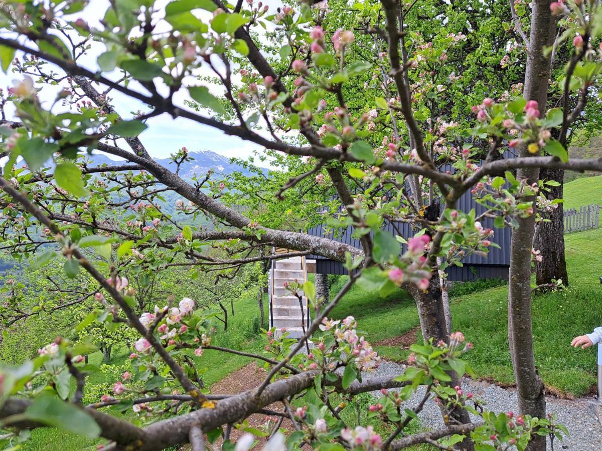 Fern Farm Tiny Home Мойковац Екстер'єр фото
