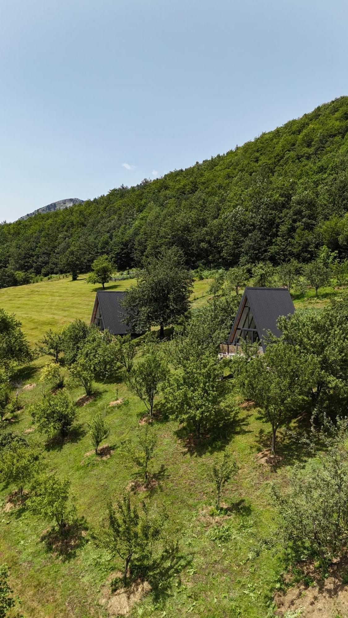 Fern Farm Tiny Home Мойковац Екстер'єр фото