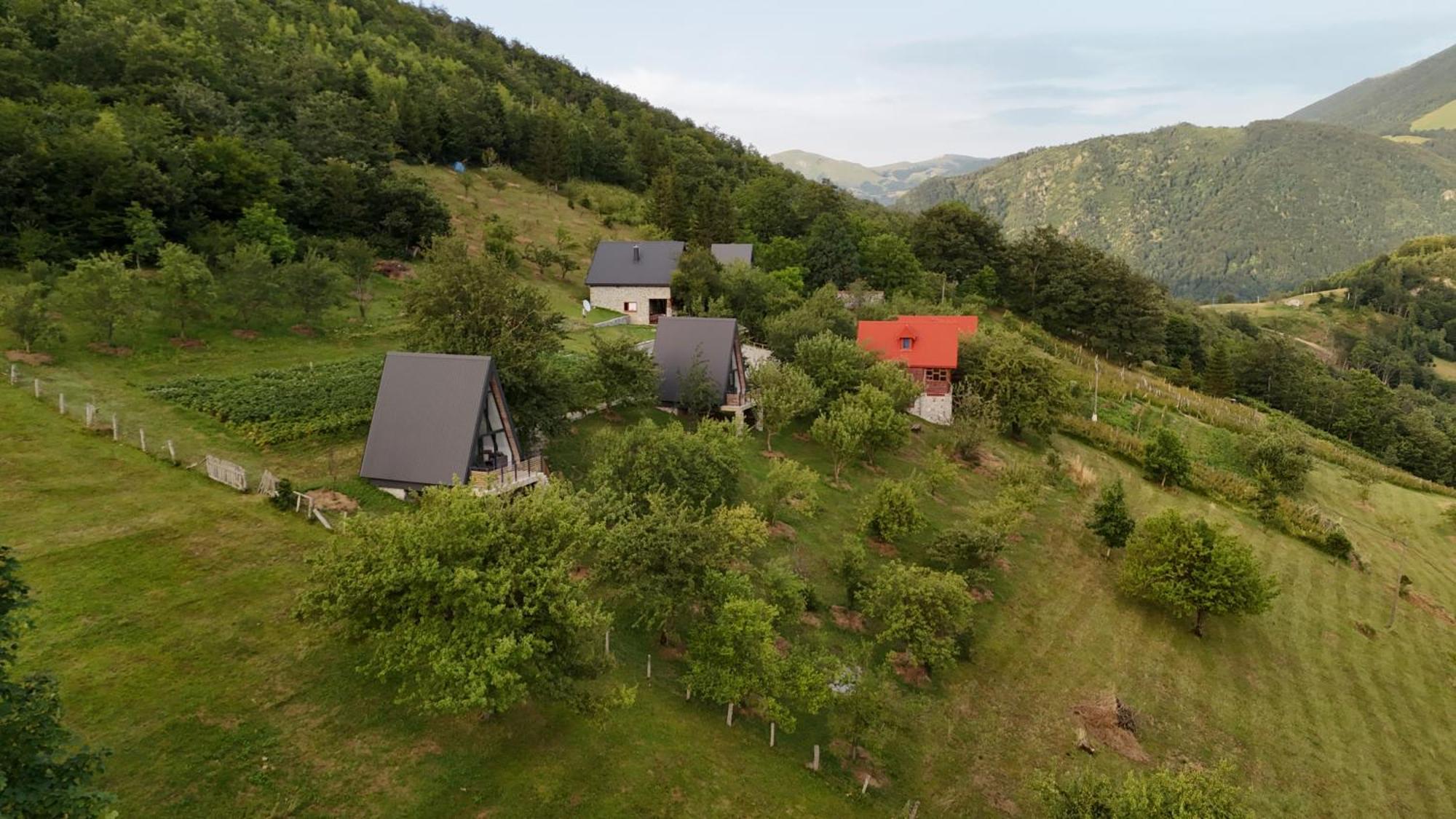 Fern Farm Tiny Home Мойковац Екстер'єр фото