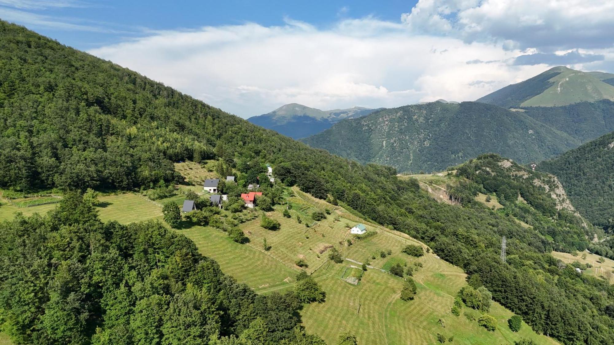 Fern Farm Tiny Home Мойковац Екстер'єр фото