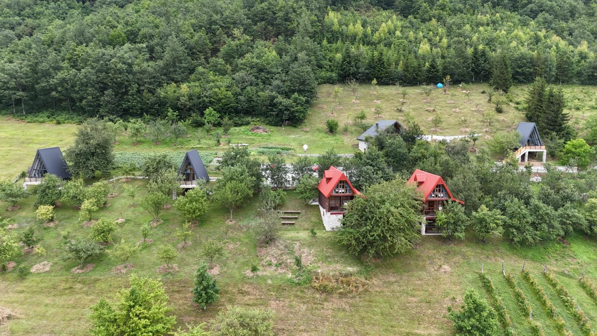 Fern Farm Tiny Home Мойковац Екстер'єр фото